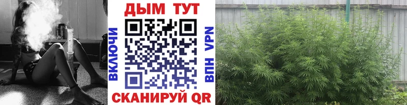 Купить Alpha-PVP  Мефедрон  ГАШ  Каннабис  АМФЕТАМИН  Кокаин  Губаха