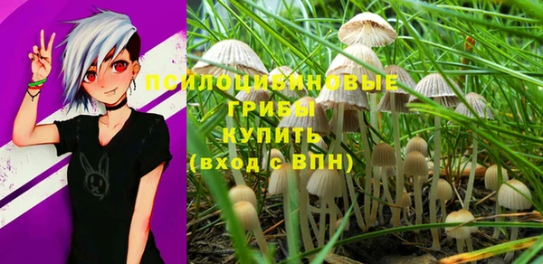 прущие крисы Елабуга