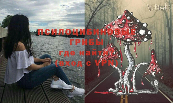 прущие крисы Елабуга