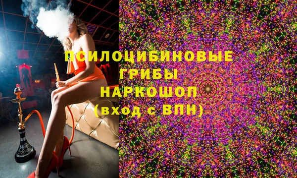 дживик Елизово