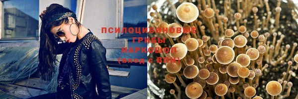 дживик Елизово