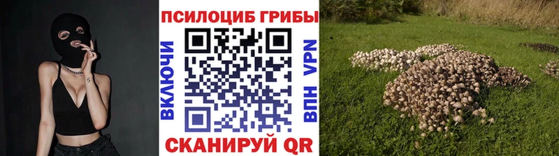 Галлюциногенные грибы прущие грибы  Купить закладки  Губаха 